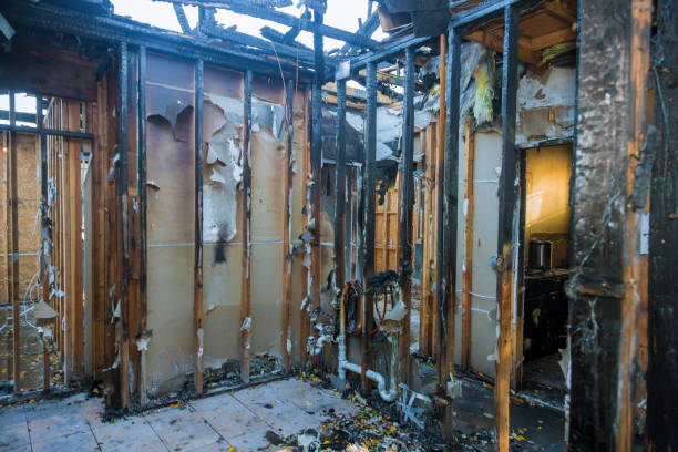 Professional Fire Damage Removal technician working in Aledo, TX